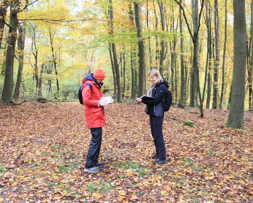 Elela Europe Naturcoaching Klimaschutwald Sandra Claassen